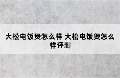 大松电饭煲怎么样 大松电饭煲怎么样评测